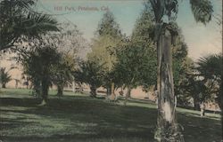 Hill Park Postcard