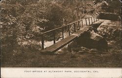 Foot-Bridge at Altamont Park Postcard