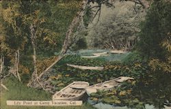 Lily Pond at Camp Vacation Postcard