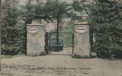 Edgemont Resort Postcard