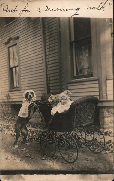 Dog wearing clothes and appearing to push a baby in a carriage
