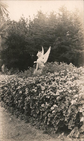 Sutro Heights Park San Francisco California