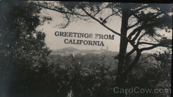 View from Hamon Tower, de Young Museum - St. Ignatius Church San Francisco California
