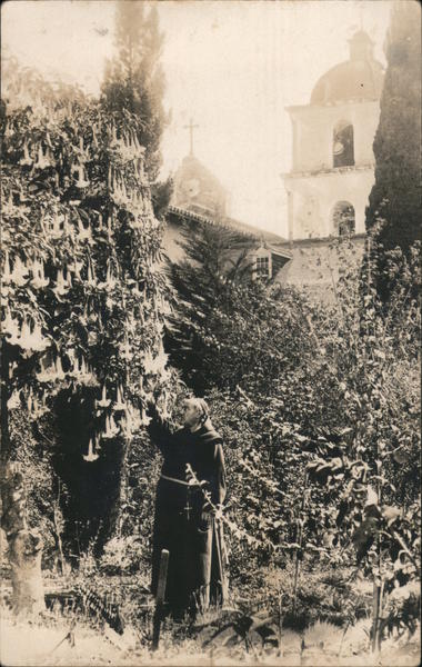 Mission San Luis Rey. Father in garden California