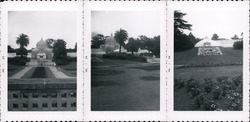 Set of 3: Golden Gate Park CONSERVATORY OF FLOWERS Original Photograph