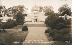 Stock #818711 Thumbnail