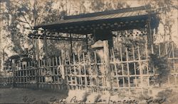 Golden Gate Park Original Photograph