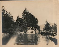 Pond and water fall Golden Gate Park Original Photograph