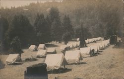 Rows of tents in field, mountains, trees Probably California Postcard