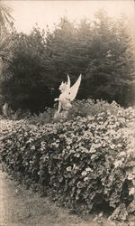 Stock #819065 Thumbnail