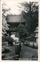 temple - Oriental Tea Garden Postcard