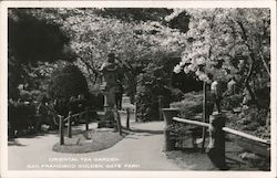 Oriental Tea Garden - Golden Gate Park Postcard