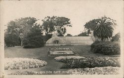 Golden Gate Park 1910 Postcard