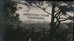View from Hamon Tower, de Young Museum - St. Ignatius Church San Francisco, CA Postcard Postcard Postcard