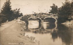 Bridge Stowe Lake, Golden Gate Park Postcard