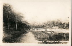 bridge over pond Golden Gate Park Postcard