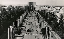 Court of the Seven Seas Postcard