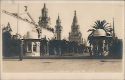 Avenue of Palms Postcard