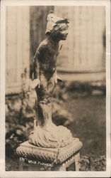 Wild Flower Statue Postcard