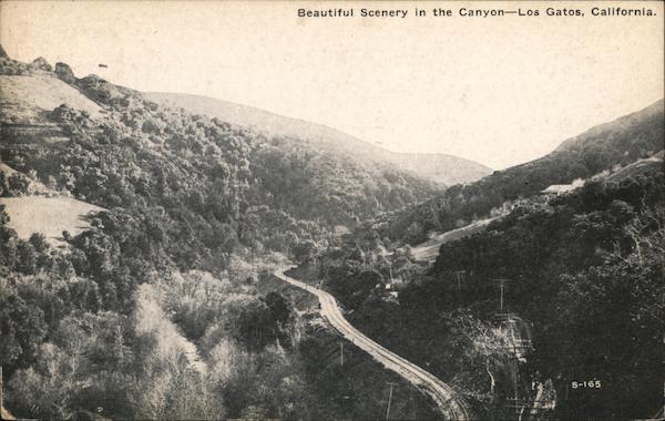 Beautiful Scenery in the Canyon Los Gatos California