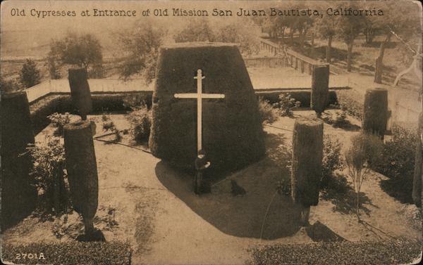 Old Cypresses at Entrance at Old Mission San Juan Bautista California