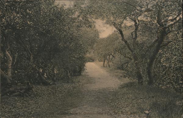 Path Through Golden Gate Park San Francisco California