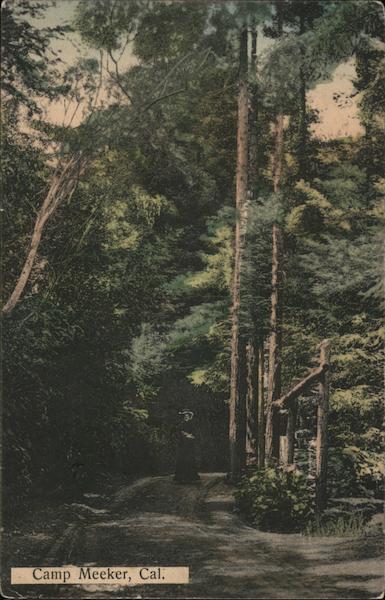 Road Through Camp Meeker California