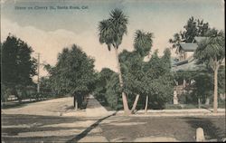 Scene on Cherry St. Postcard