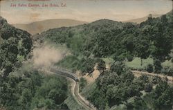 Los Gatos Canyon, Los Gatos, Cal. California Postcard Postcard Postcard