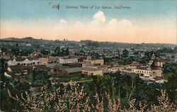 General View Postcard