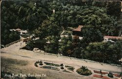 Alum Rock Park Postcard