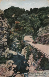 Road to Alum Rock Park Postcard