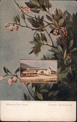 Mission San Jose - Flower: Manzanita Postcard