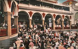 Casino Steps Postcard