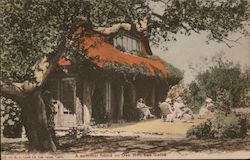 A Summer Home on Oak Hill Postcard