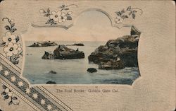 The Seal Rocks, Golden Gate Cal. Postcard