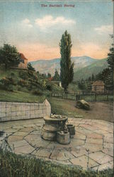 The Bartlett Spring Postcard