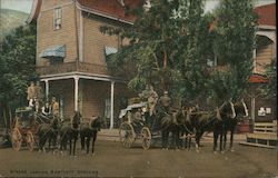 Stages Leaving Bartlett Springs Postcard