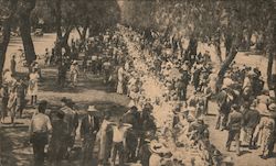 All-States Picnic featuring the Longest Table In The World Ontario, CA Postcard Postcard Postcard