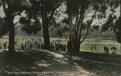 Base Ball Grounds, Golden Gate Park San Francisco, CA Postcard Postcard Postcard