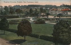 Hospital Grounds, Presidio Postcard