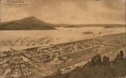 Bird's Eye View Panama-Pacific International Exposition 1915 Postcard