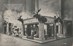 H. Liebes & Co. Fur Exhibit, Palace of Varied Industries - PPIE Postcard