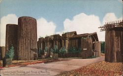 Lumbermen's Building and House of Hoo-Hoo, Forestry Court - PPIE Postcard