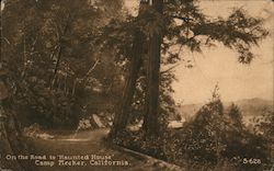 On the Road to "Haunted House" Camp Meeker, California Postcard