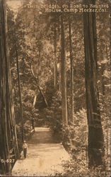 Twin Bridges, on Road to Haunted House Postcard
