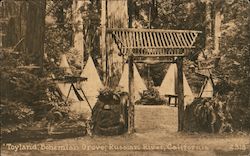 "Toyland" Bohemian Grove, Russian River Postcard