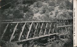 Railroad Tressel near Camp Meeker Postcard