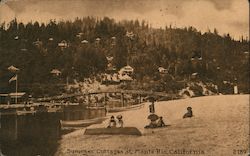 Summer Cottages Postcard