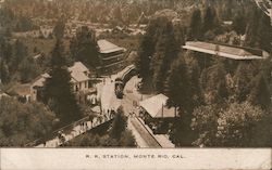 R.R. Station Monte Rio, CA Postcard Postcard Postcard